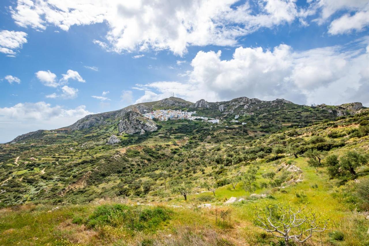 Olive Grove Cottage Menetaí エクステリア 写真